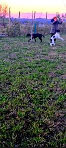 Agricampeggio AL CIELO STELLATO