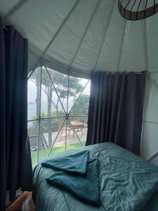 Shark Bay Tent