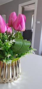 Diamond Suite Fiumicino Casa vacanze