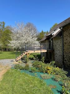 Appartements Gite 5 personnes le bas du bois : photos des chambres