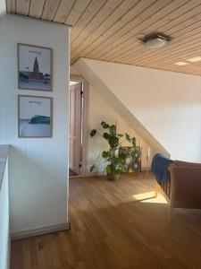 Svanes Air-bnb