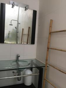 Appartements Independent studio st Clement of rivers 5 mn montpellier : photos des chambres