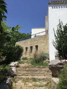 Appartements Independent studio st Clement of rivers 5 mn montpellier : Appartement 1 Chambre