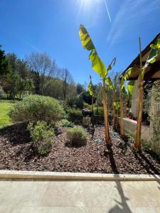 Maisons d'hotes Au combe de canet : photos des chambres
