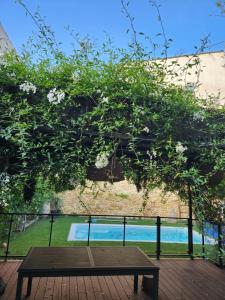 Maisons d'hotes la bastide du soleil : photos des chambres