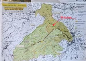 Un Soggiorno nella Natura