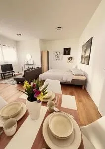 Studio Apartment Albblick - 特罗辛根