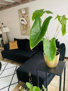 Ruime gedeelde woning met privé-kamer en modern comfort