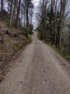 Holidayapartement Sentjur 2 pers