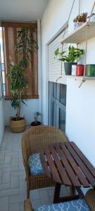 Cedofeita 408, Green