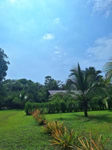 Hotel Jhazmin Aeropuerto