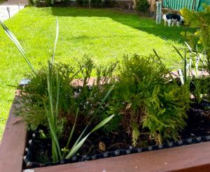 Apartment house close to Bojnice