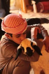 Wadi Rum 5-hour tour with sunset or morning, overnight stay with two meals and a Bedouin tent with a private bathroom Prices are for two people