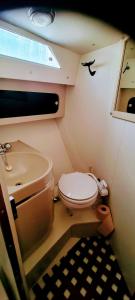 Bateaux BATEAU STANDING A QUAI tout confort : photos des chambres