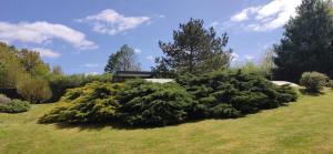 Appartements Reve d-eau et de Nature : photos des chambres