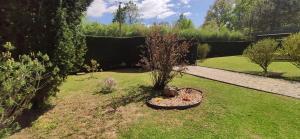 Appartements Reve d-eau et de Nature : photos des chambres