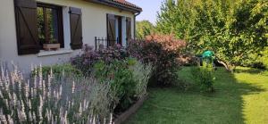 Appartements Reve d-eau et de Nature : photos des chambres