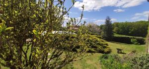 Rêve deau et de Nature