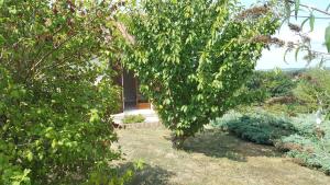 Appartements Reve d-eau et de Nature : photos des chambres