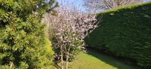 Appartements Reve d-eau et de Nature : photos des chambres