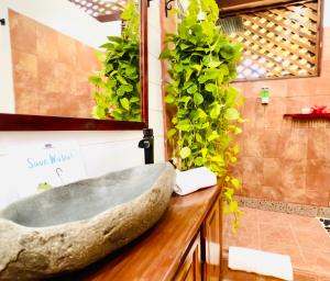 Elita luxurious villa, pool, jacuzzi, AC wellness