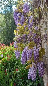 Podere Casalbosco - Idromassaggio e panorama