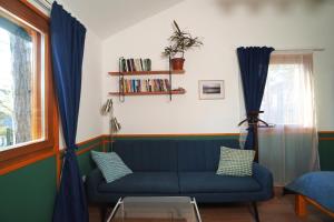 Surányi kék házak