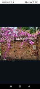 La Gardenia
