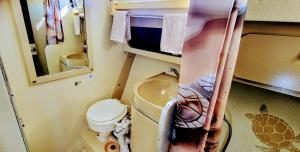 Bateaux BATEAU STANDING A QUAI tout confort : photos des chambres