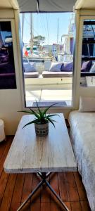 Bateaux BATEAU STANDING A QUAI tout confort : photos des chambres