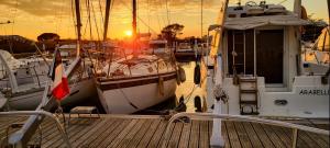 Bateaux BATEAU STANDING A QUAI tout confort : photos des chambres