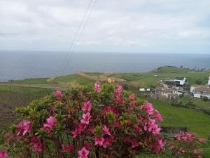 Basaltic House Pedreira