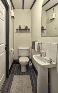 Peaceful tranquil Alpaca Farm