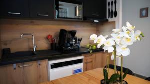 Appartements T2 Cyprien, Climatise, piscines, resto, 5mn plages : photos des chambres