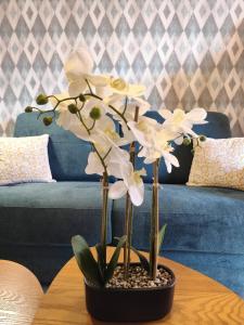 Appartements T2 Cyprien, Climatise, piscines, resto, 5mn plages : photos des chambres