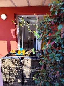 Appartements T2 Cyprien, Climatise, piscines, resto, 5mn plages : photos des chambres