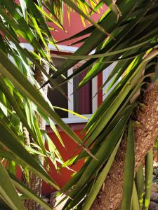 Appartements T2 Cyprien, Climatise, piscines, resto, 5mn plages : photos des chambres