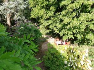 B&B / Chambres d'hotes Moulin de Schwabwiller : photos des chambres