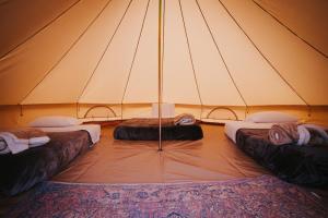 Duna Camp Huacachina