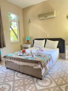 ölüdeniz moonstar ayyıldız