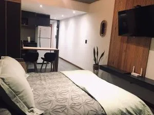 new loft includes garage one meter from the apartment - Alvear