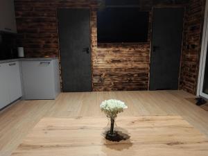 Apartament Glamour II Kleszczów