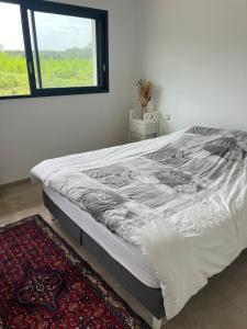 Maisons de vacances Maison entre ocean et foret landaise : photos des chambres