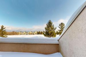 Wintergreen 218