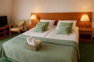 Apartamenty i pokoje Chaton Mielno