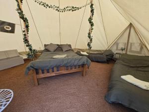 Aldwark Bridge Glamping - Aurora Tent