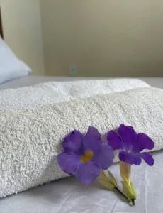 Casa Nova Vida Confort - 里法伊纳