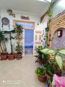 Medina Guest Corner Chez Younes