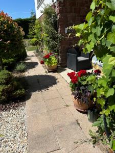 Levendula Apartmanház