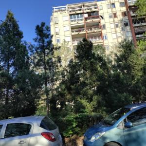 Aleksandar Residence